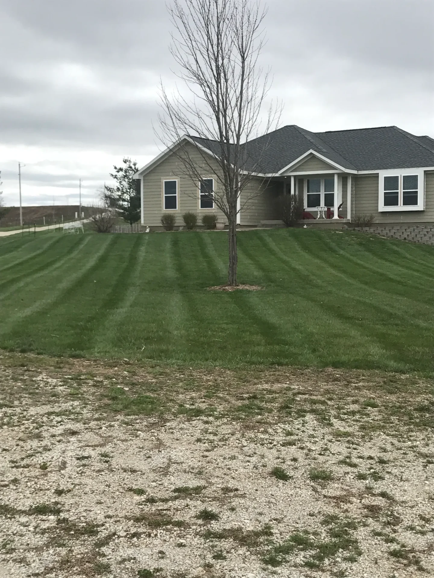 A house with grass growing on the front lawn.