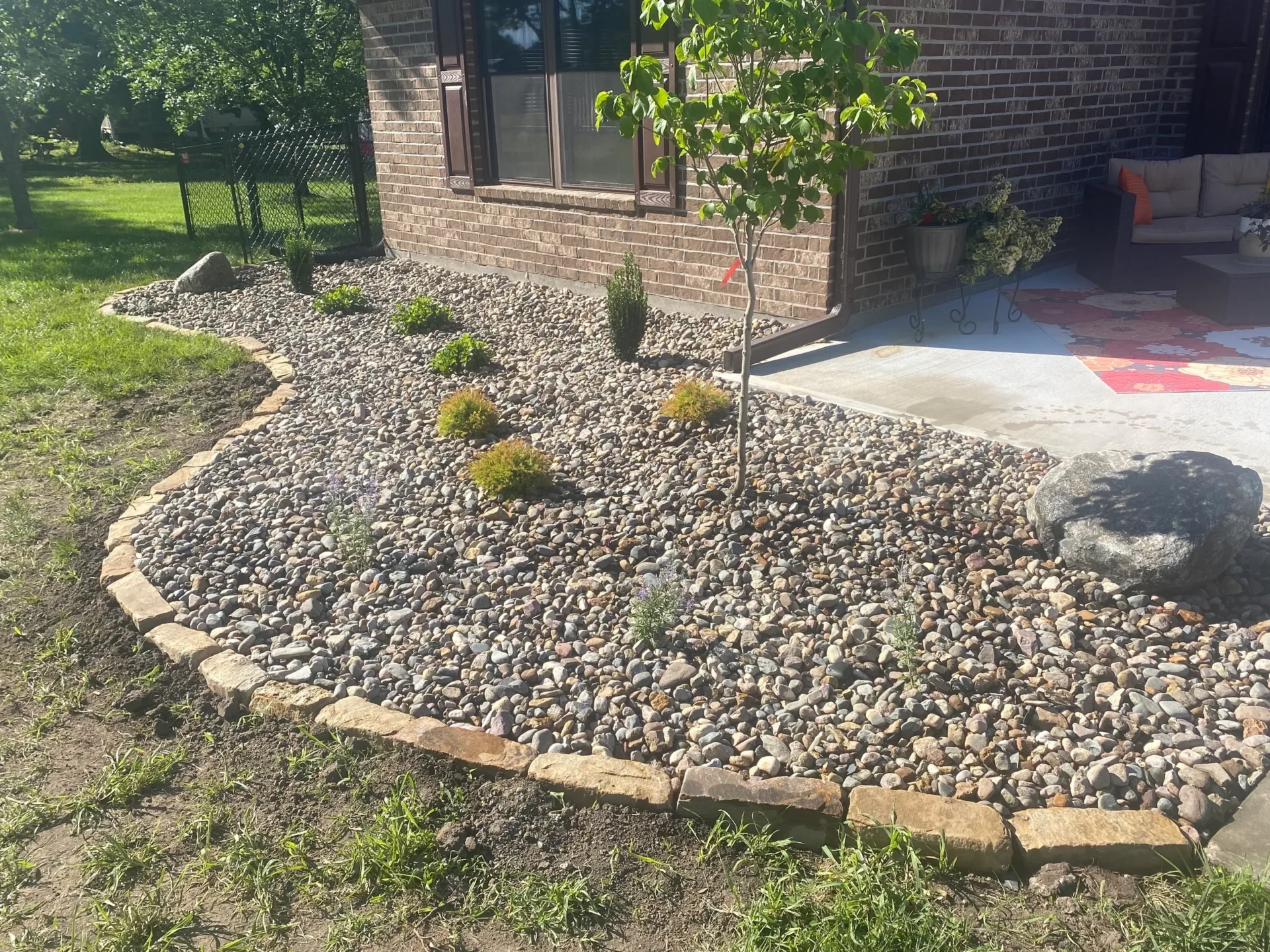 A yard with rocks and plants in it